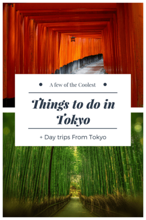 Coolest Things To Do In Tokyo + Day Trips From Tokyo