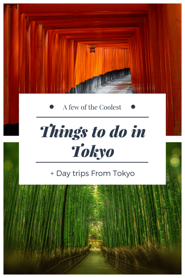 Coolest Things to do in Tokyo + Day trips From Tokyo