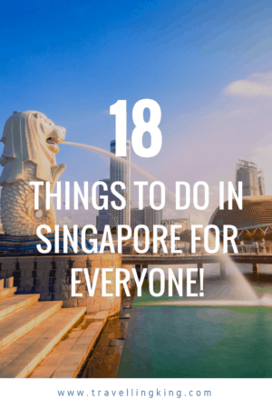 Experience 18 Things to Do in Singapore for Everyone!