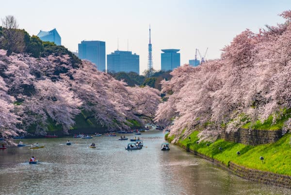 Luxury Travel Guide to Tokyo