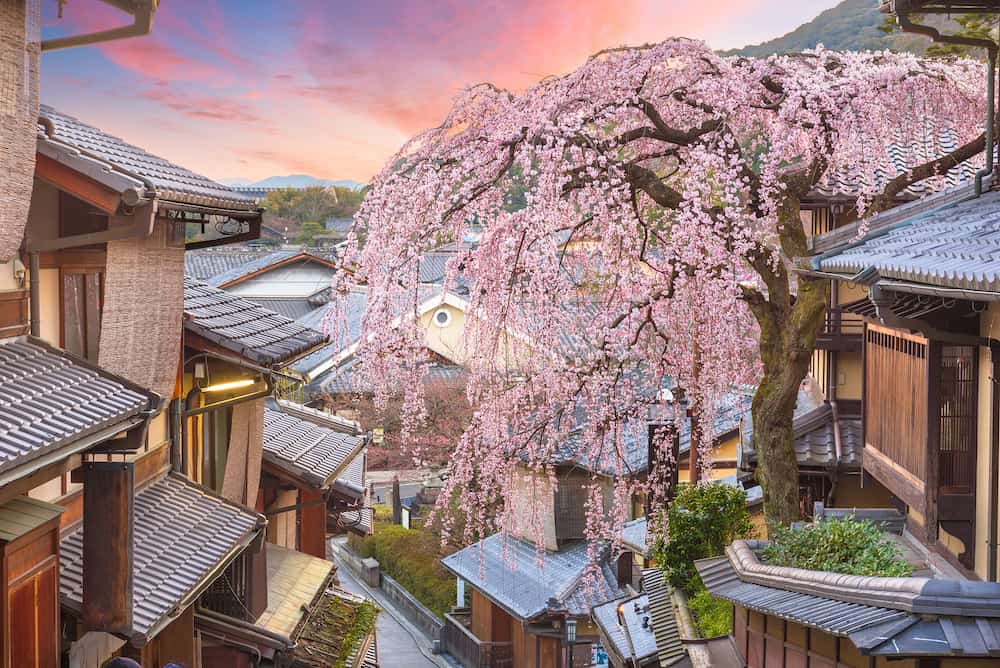 Kyoto, Japan in the Higashiyama district with cherry blossoms the springtime.