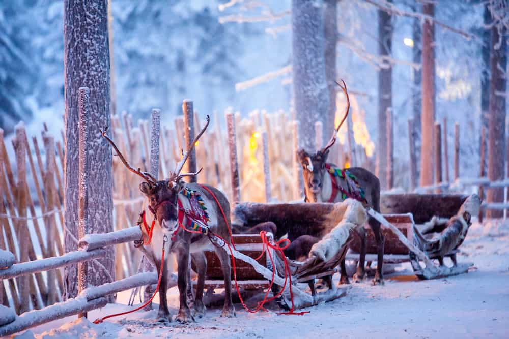 19 Things to do in Rovaniemi