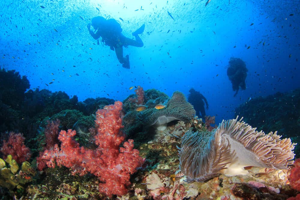 Scuba diving on coral reef in Thailand