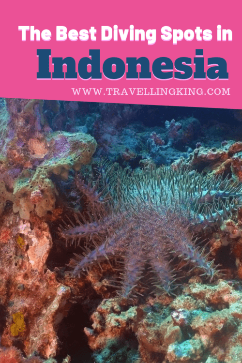 The Best Diving Spots in Indonesia