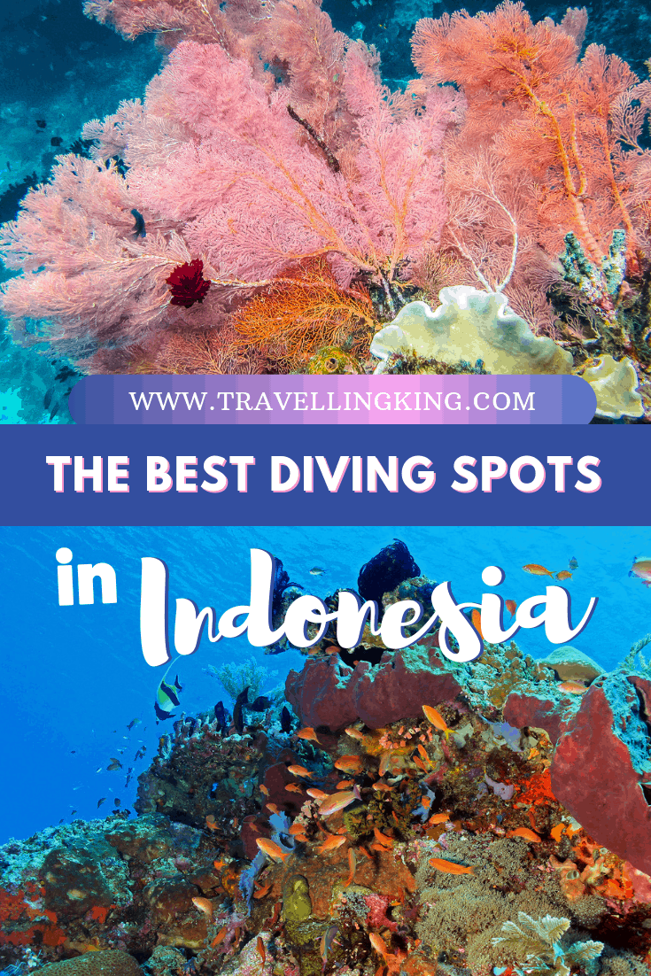 The Best Diving Spots in Indonesia
