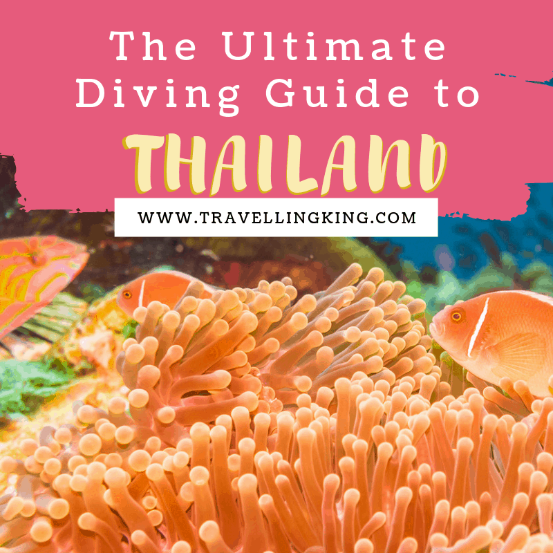 The Ultimate Diving Guide to Thailand