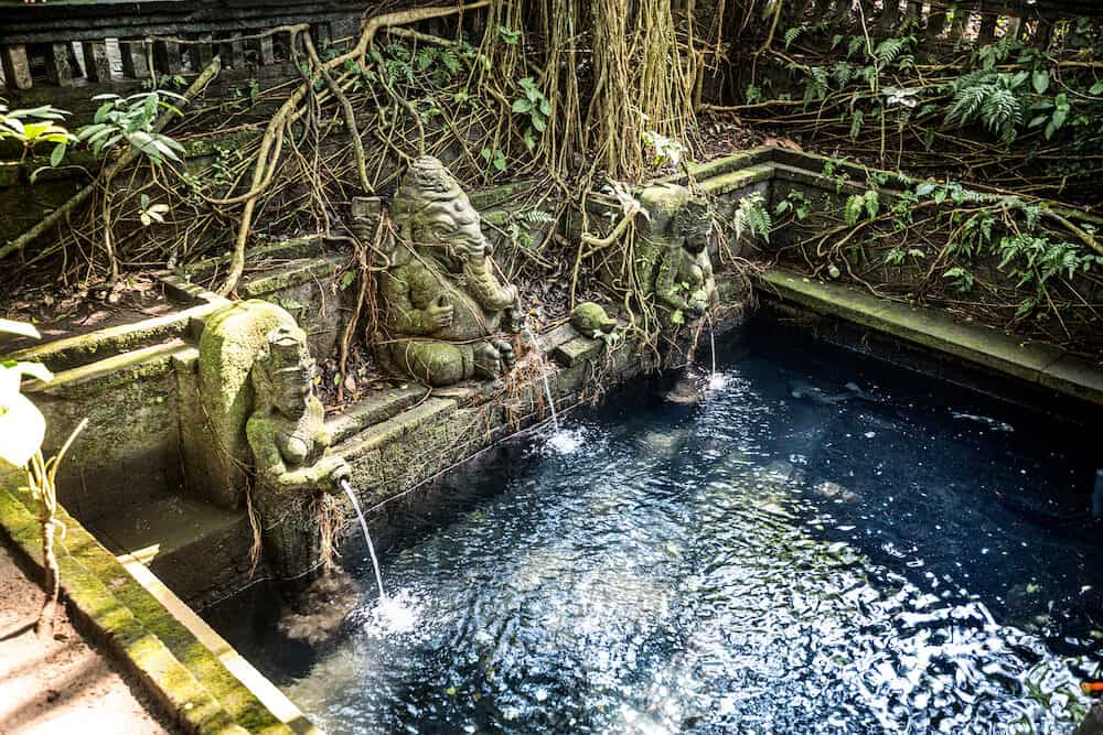 Sacred pool in temple at Monkey Forest Sanctuary in Ubud, Bali,Indonesia
