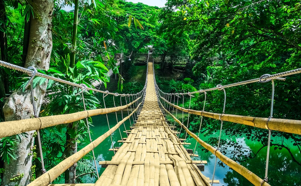 Bamboo pedestrian hanging bridge over river in tropical forest Bohol Philippines Southeast Asia