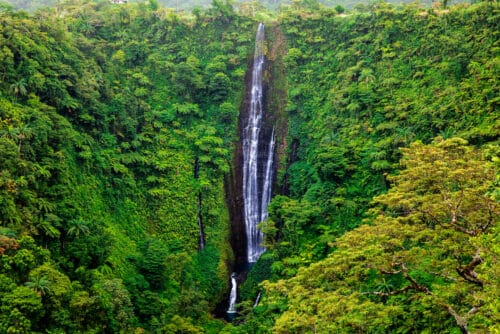 22 Things to do in Samoa - That People Actually Do!