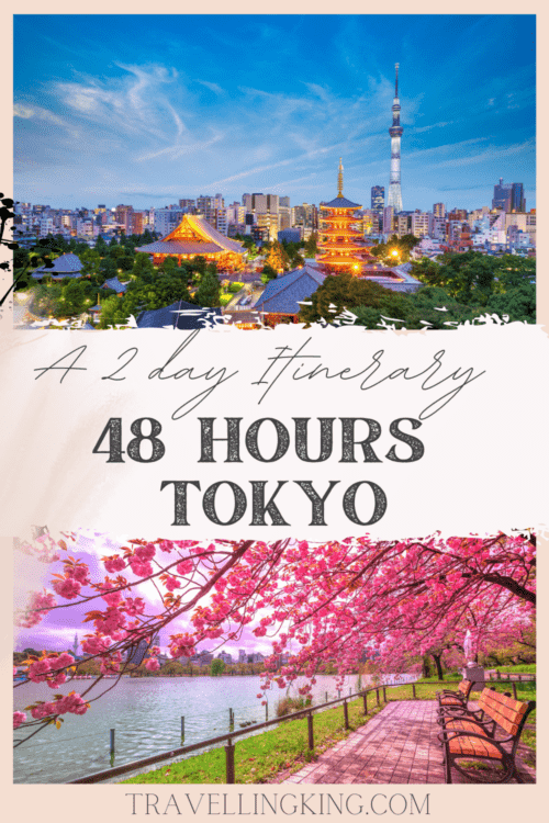 48 Hours in Tokyo - A 2 Day Itinerary