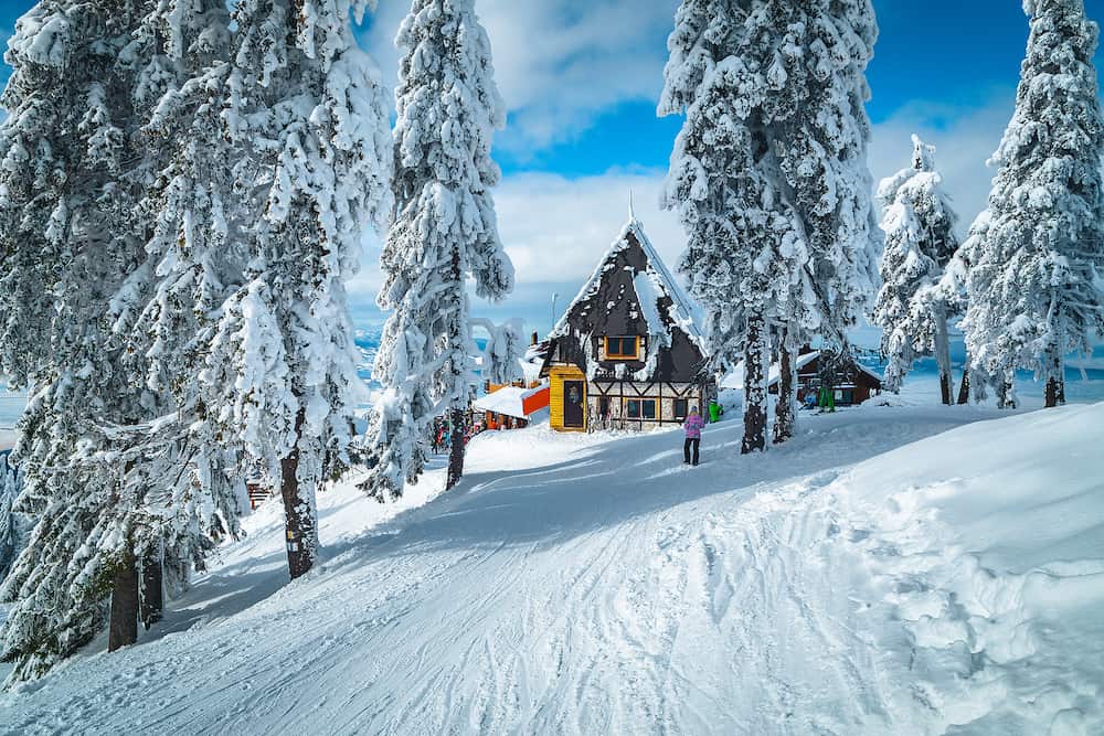 Amazing snow covered winter landscape and fantastic ski resort with snowy pine trees, Poiana Brasov, Carpathians, Romania, Europe