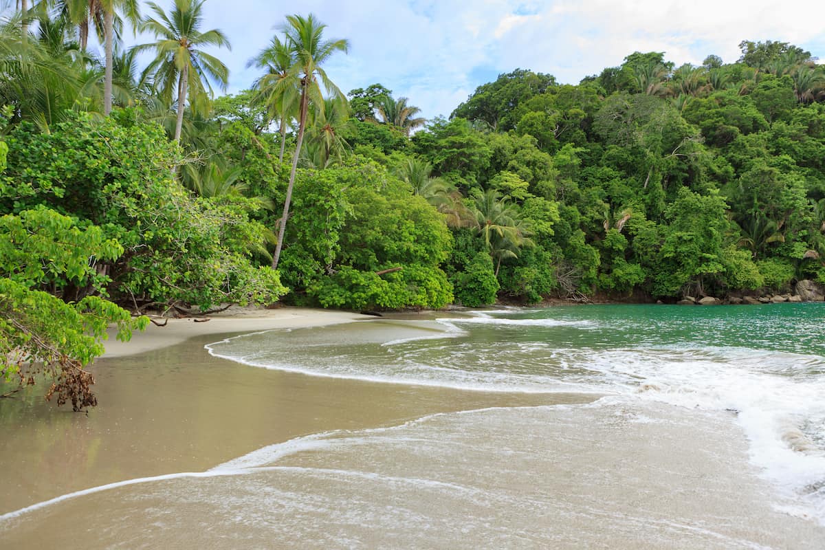 Sand beach and trees at Manuel Antonio Costa Rica